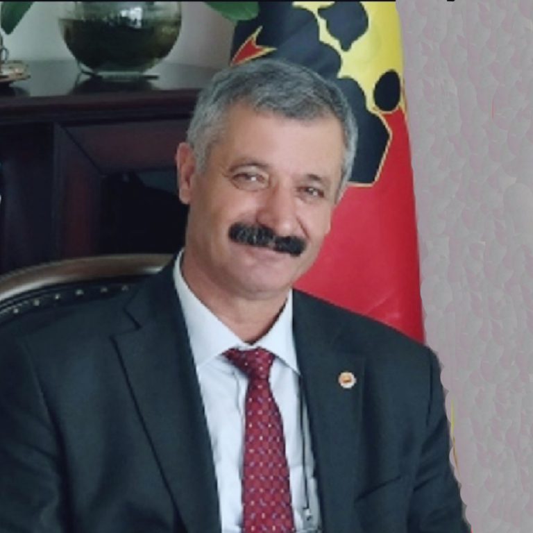fehmidemir1068